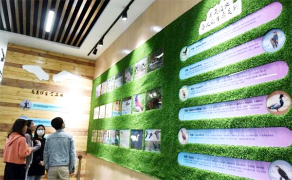 巢湖半島國家濕地公園鳥(niǎo)類(lèi)科普展館